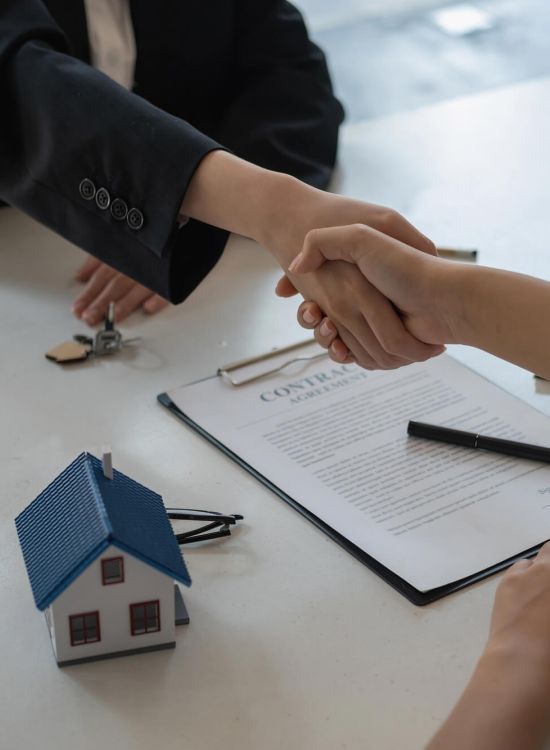 immobilienmakler homepage erstellen – hochwertige Makler Website