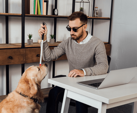 Barrierefreiheitsstärkungsgesetz Hund Blind